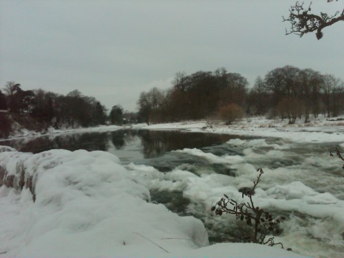 IMG00151-20101226-1112