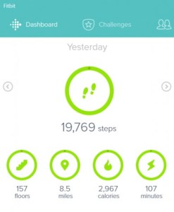 FitbitBollocks