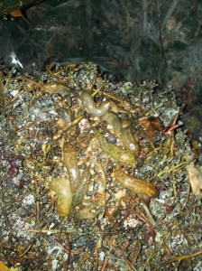 Welcome to my world.