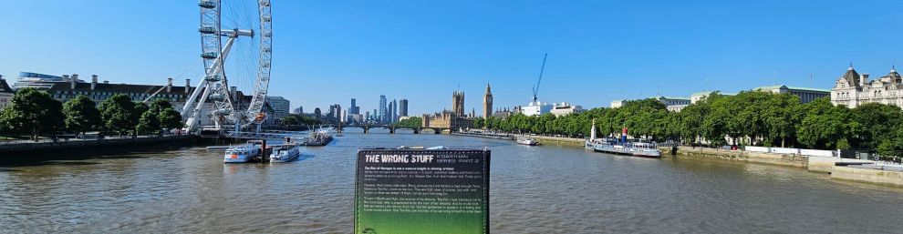 picture of a book cover featuring a few of the Thames with the same view of the thames in the background