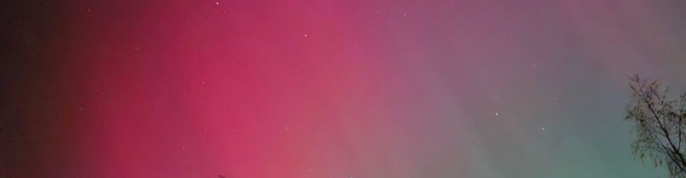 Picture of the aurora borealis with trees and houses in the foreground.