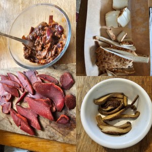 Montage of four pictures showing cooked and chopped dryad's saddle and beefsteak mushroom. All mushrooms are shown against a wooden background. There are four pictures. Top left is a fred gooey mess in a glass bowl with a fork in it. This is cooked beefsteak fungus. Top right is a brown and white speckled fungus cut into strips showing firm white flesh. This one is raw. Bottom left something that looks like slices of tongue, red and marbled like meat this is raw beefsteak fungus on a cutting board of slightly darker wood to the surface it's standing on. Bottom right is a white bowl contraining cooked Dryad's saddle. It has gone a little darker in cooking so the top is brown and the flesh is beigy brown in tone.