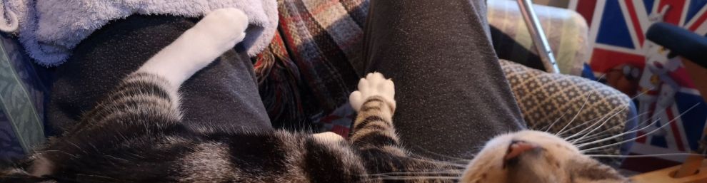 Picture of tabby cat lying on the legs of a person reclining on a sofa with a towel (containing an ice pack) on one knee. In the background a window, a door and one crutch.